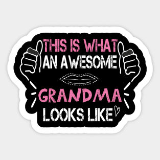 This is what an awesome grandma looks like funny gift idea Sticker